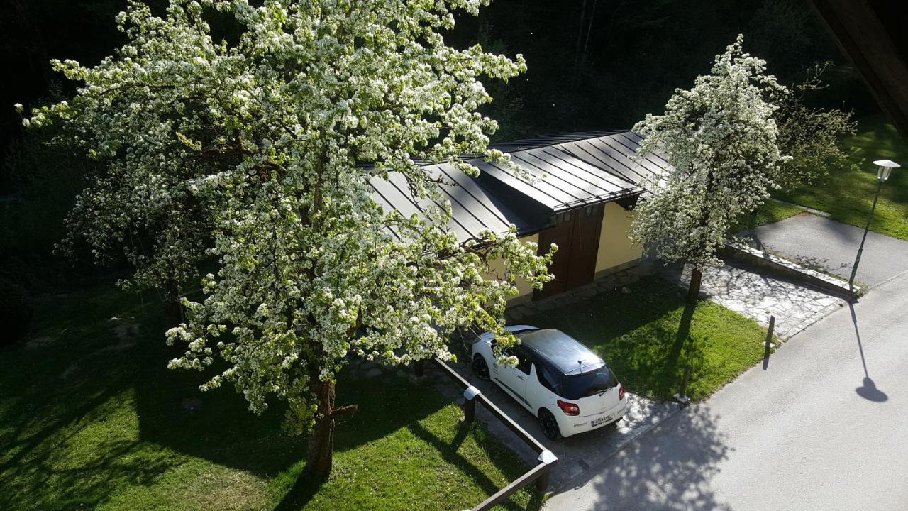 Imlau 51 Apartamento Exterior foto